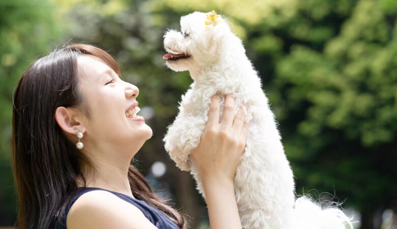 犬猫のサプリ　ストレリチアHEの効能